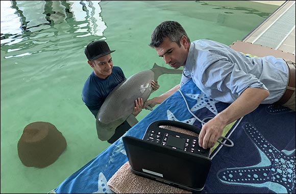 The Environment Agency � Abu Dhabi Saves and Rehabilitates Malqout the Dugong