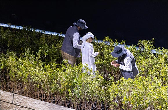 Today For Tomorrow: The National Day Mangrove Project Set to Begin With the Planting of 10,000 Trees