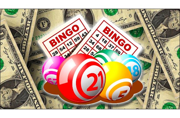 The Science Behind the Rise of Bingo Gamblers