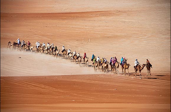  16    33           ""    