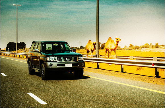 Al Masaood Automobiles Announces Launch of Special Nissan Patrol Super Safari 2024Al Ostoura' Edition