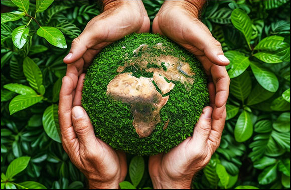 Thousand mangrove trees to be planted as part of EarthSoul Festival in Dubai