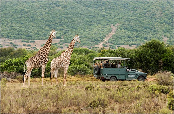 South African Tourism Showcases Vibrant Offerings at Arabian Travel Market 2024