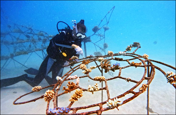 Leading Sustainable Travel in Maldives
