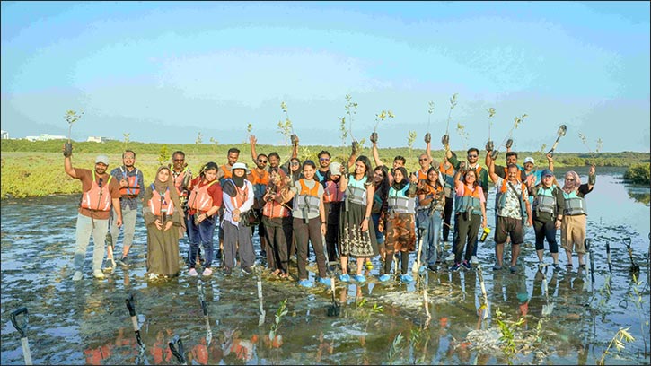 Hotpack employees lead mangrove planting initiative  at Al Zora Reserve in Ajman