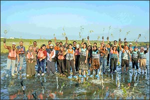 Hotpack employees lead mangrove planting initiative  at Al Zora Reserve in Ajman