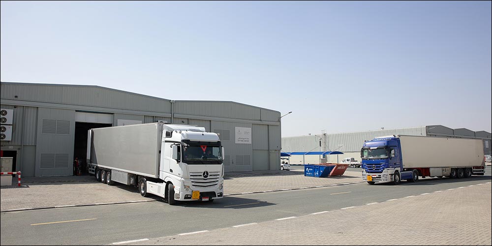 Under the directives of Mohammed bin Rashid   Dubai Humanitarian dispatches WHO medical aid shipment to Gaza