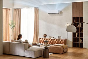 LG Aligns with UAE's Energy Conservation Goals, Championing Efficient Cooling So