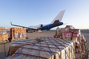 Under the directives of Mohammed bin Rashid  Dubai Humanitarian facilitates seco