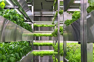 Dubai Municipality tours first vertical farm inside residential tower in Al Habt