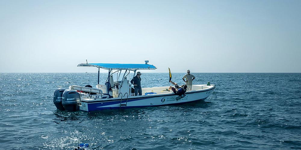Environment Agency � Abu Dhabi completes oyster bed mapping survey across emirate's marine waters