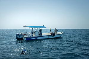 Environment Agency � Abu Dhabi completes oyster bed mapping survey across emirat