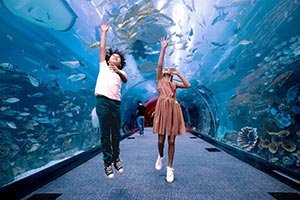 Make The Most Of Every Family Day This Summer Across Dubai