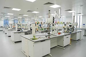 Himalaya Drives 20% Regional Revenue Surge Through Localized Dubai R&D Innovatio