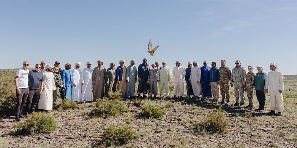 Sheikh Zayed Falcon Release Programme releases 2,400+ falcons in the wild since 1995 founding