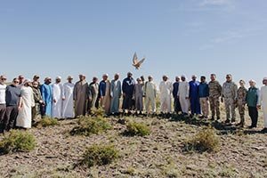 Sheikh Zayed Falcon Release Programme releases 2,400+ falcons in the wild since