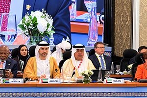 UAE Deepens Its Engagement in Financial Cooperation and Development Finance at B