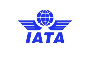 Your Visa Is Digital. But Can the Airline Check It?