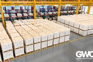 GWC Group Expands UAE Presence, Strengthening Qatar’s Connectivity with Wider GC