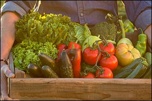 Middle East Organic and Natural Products Expo 2025