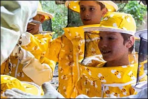 Bee Scientist Program - Kids Edition