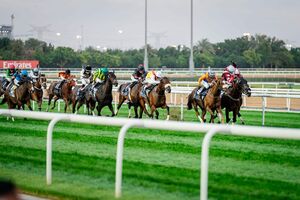 Dubai Racing Carnival