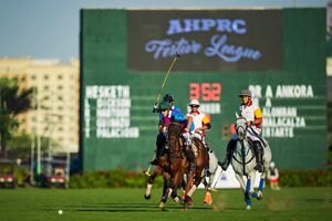 AHPC Festive League