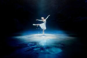Swan Lake on Ice