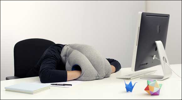 Nap Anytime, Everywhere