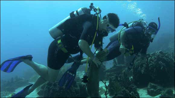 World Underwater Clean Up Day hosted by Skydive Dubai