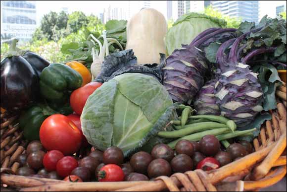 Farmers' Market on the Terrace returns for fifth season at Jumeirah Emirates Towers