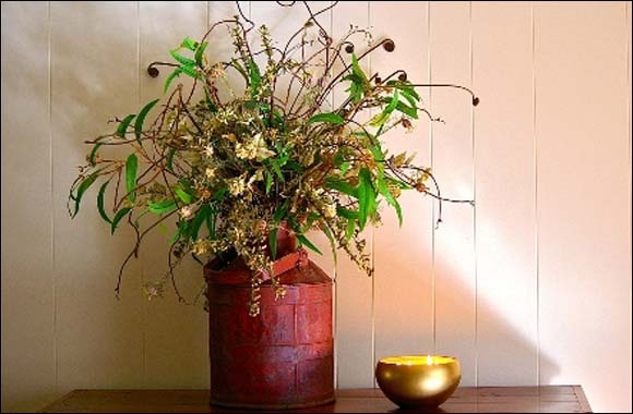 Envision urbane charm with brilliance