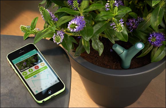 Parrot Flower Power: Your personal gardening assistant, now available in the UAE!