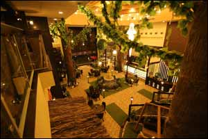 Fine dining becomes a special and divine experience at Shisaba, Sharjah