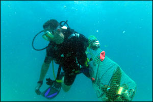 Hilton Worldwide leads the way in biggest ever voluntary underwater clean up to mark Earth Day 2014