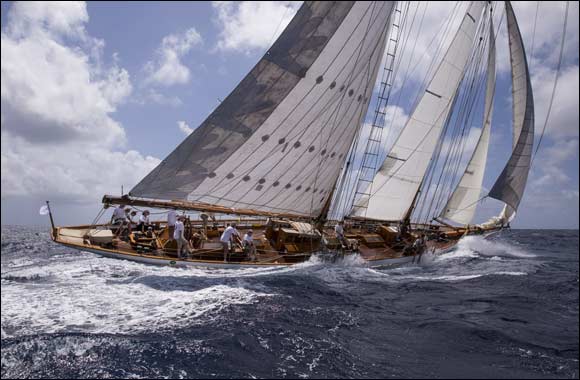 Overall Victory for Whitehawk in the Antigua Classic Yacht Regatta