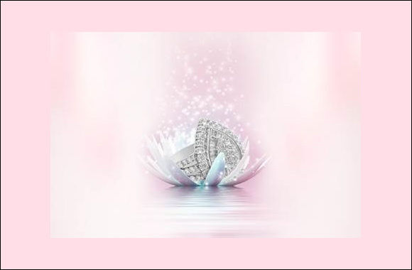 Liali Jewellery participates in the mega bonanza to venerate 20 years of DSF!