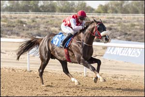 The prestigious Ruler of Sharjah Cup presented by Longines ends with great fanfare
