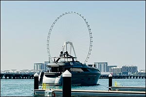 Where to Get a Free AI Visibility Checker in Dubai