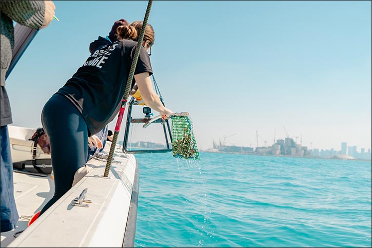 Sorbonne University Abu Dhabi and Emirates Nature-WWF Sign MoU to Advance Biodiversity Research and Environmental Sustainability